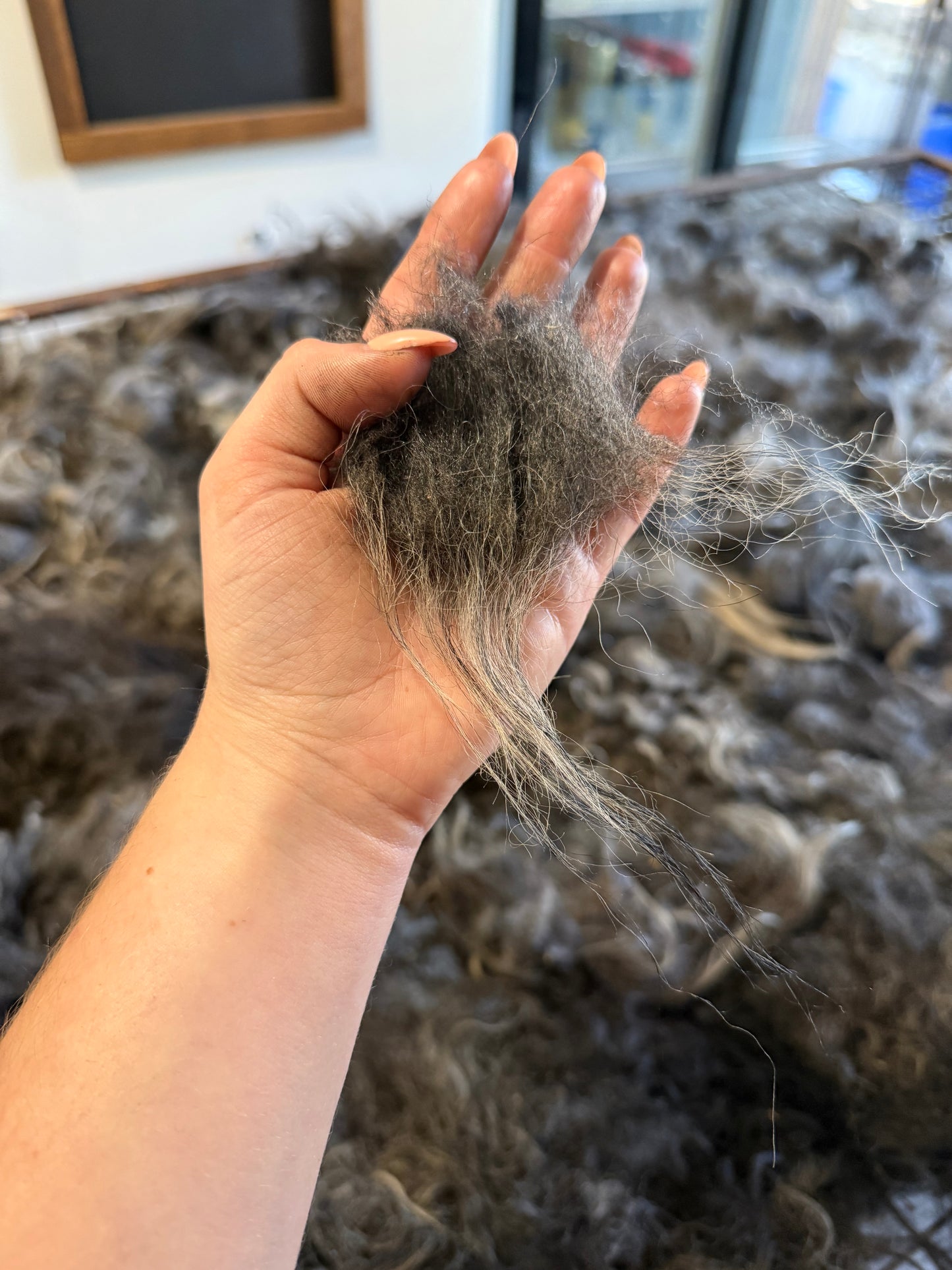 Icelandic Fall 2025 Fleece - “Skadi”