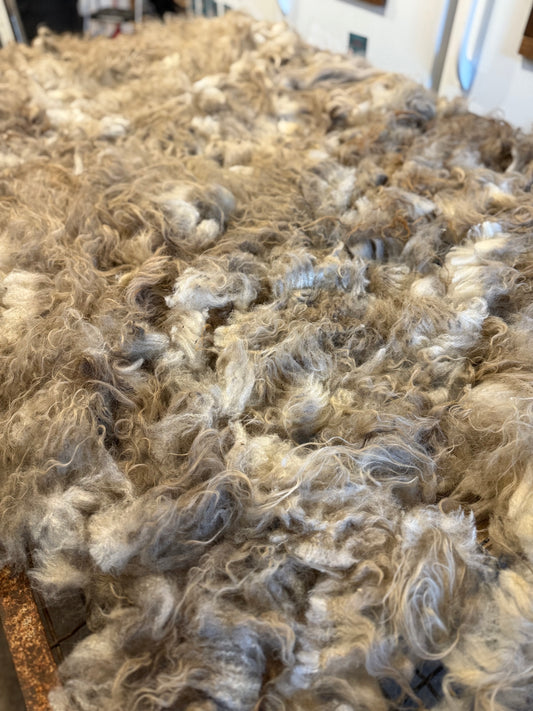 Icelandic Fall 2025 Fleece - “Icy”