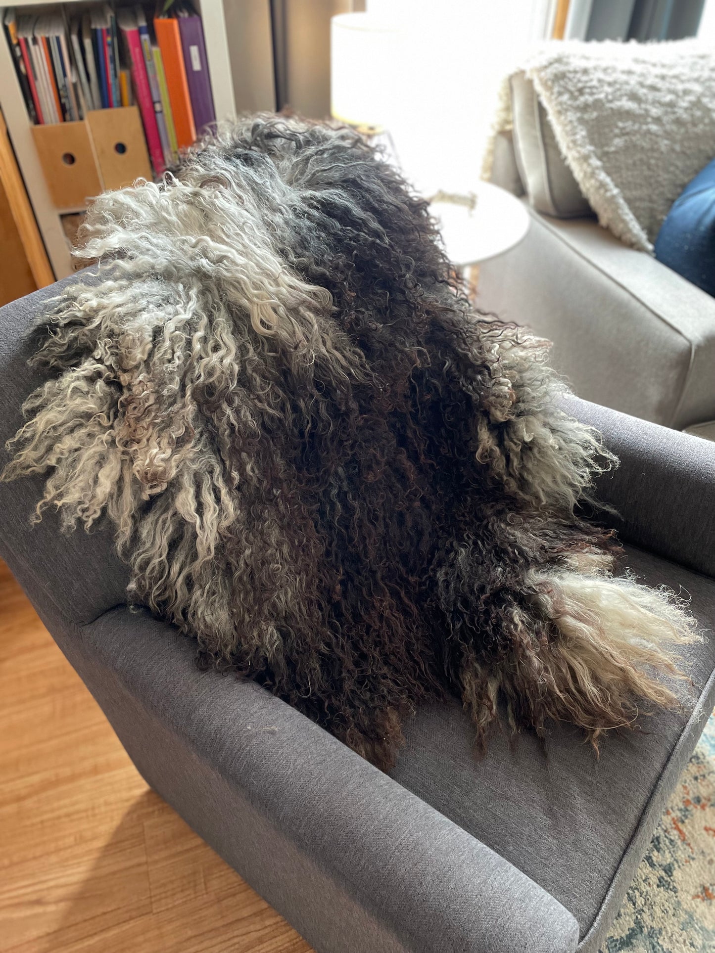 Egg Tanned Sheepskins At Home - Guidebook