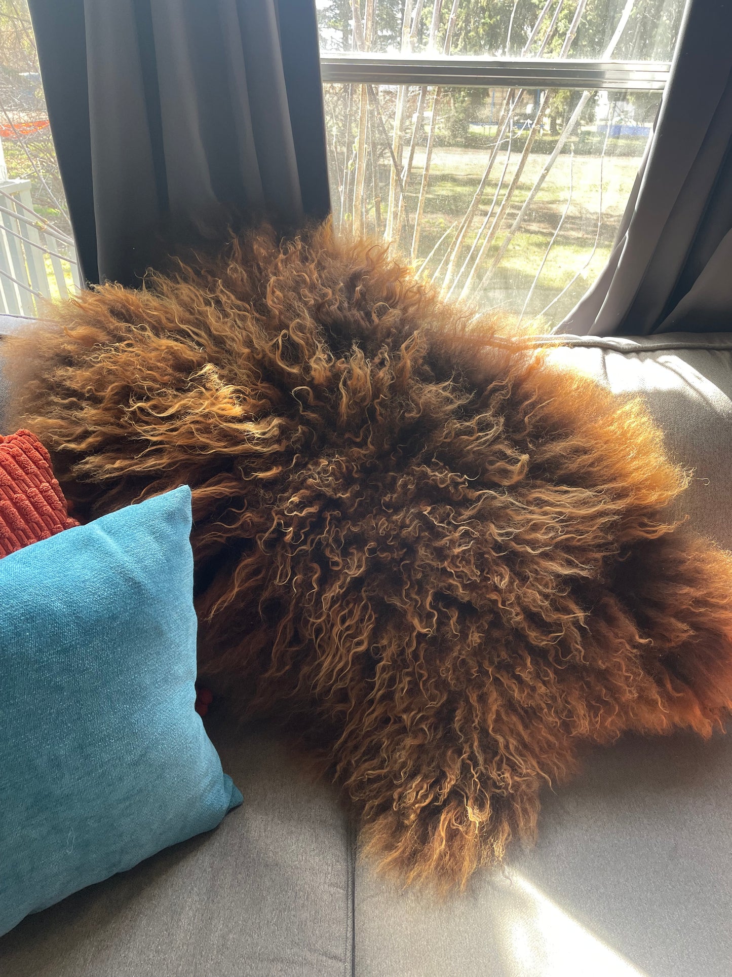 Icelandic Hide - “Isak”