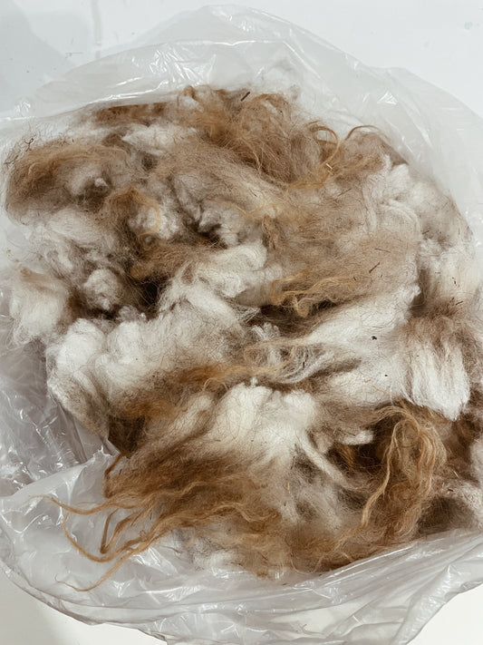 Icelandic Lamb Fleece - Helga