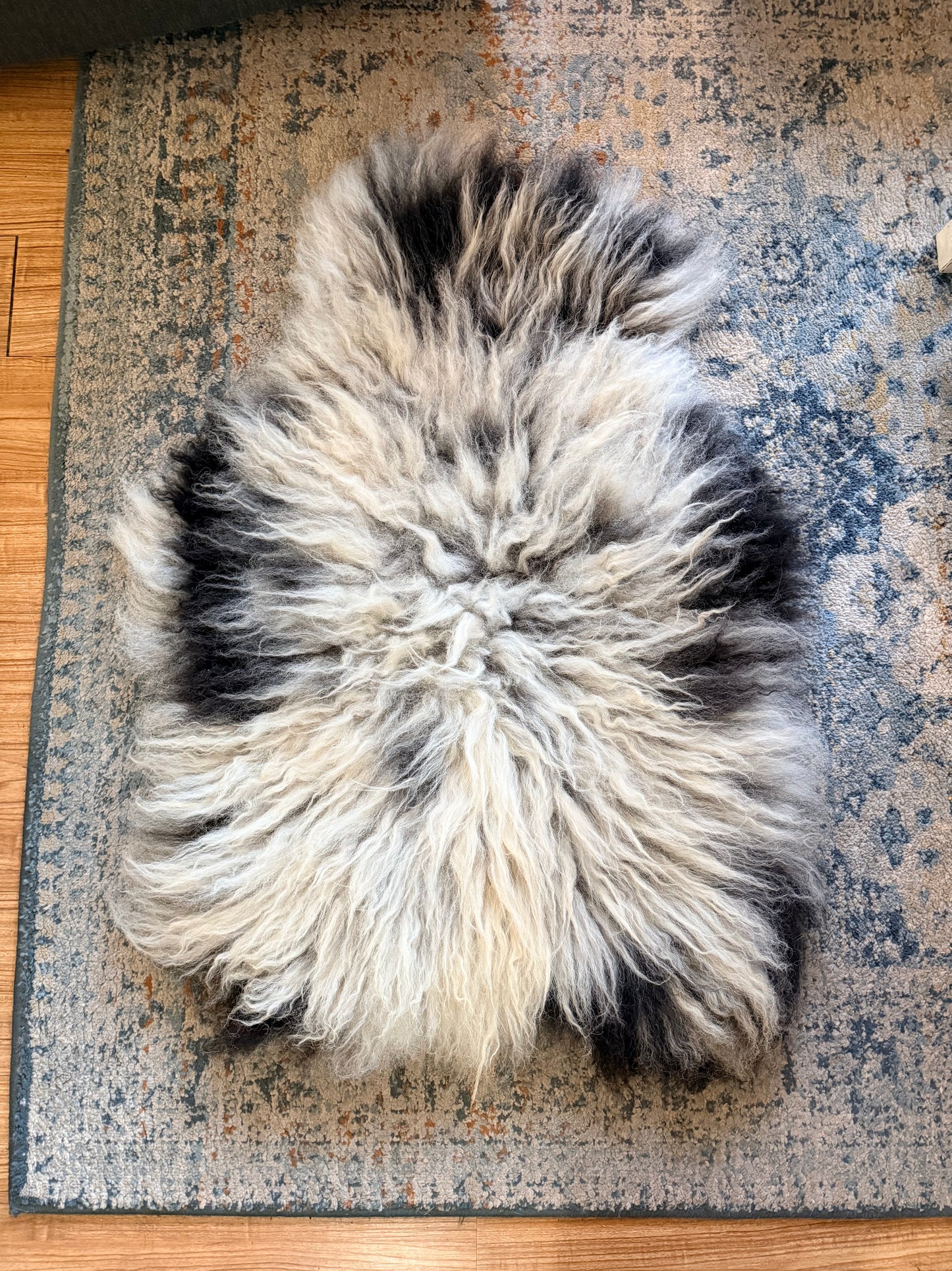 Navajo Churro Sheepskin - “Rogan”