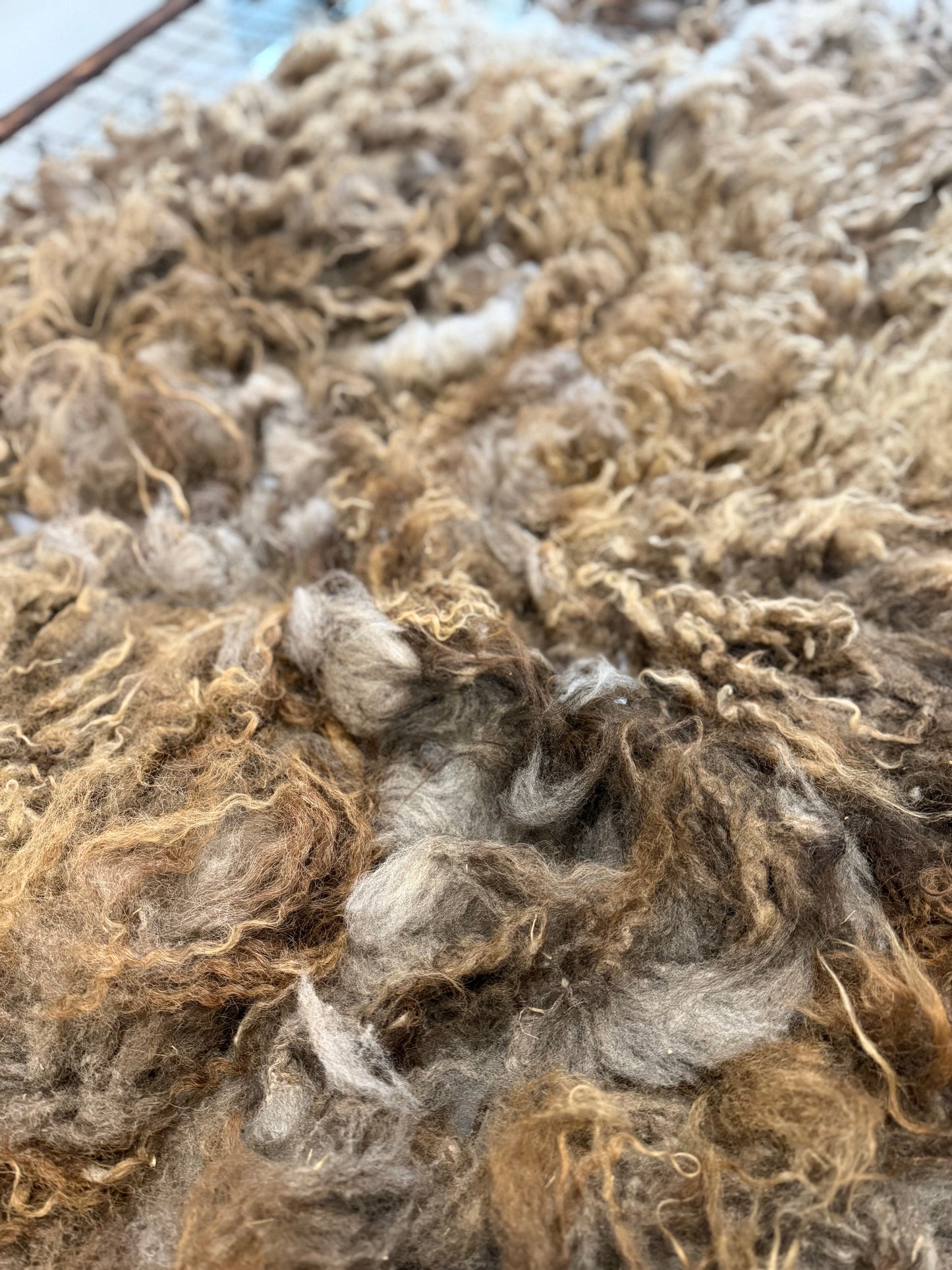 Icelandic Fall 2025 Fleece - “Ragnar”