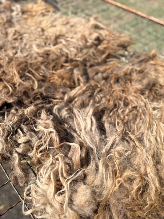 Spring 26’ Icelandic Fleece - “Inrama”