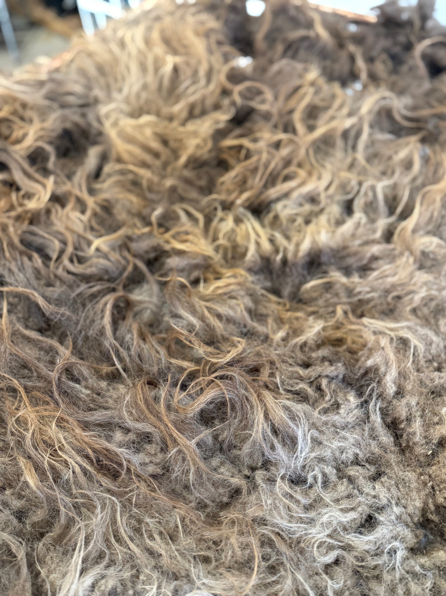 Icelandic Fall 2025 Fleece - “Andi”