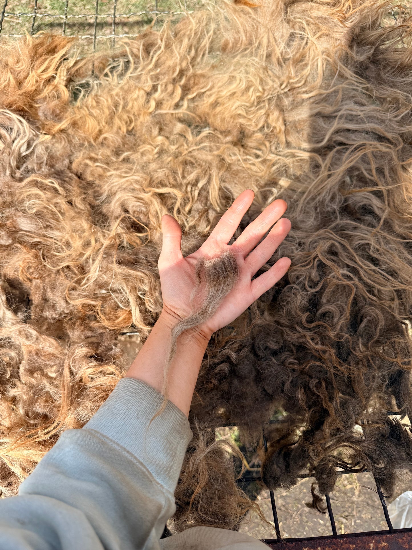 Spring 26’ Icelandic Fleece - “Inrama”