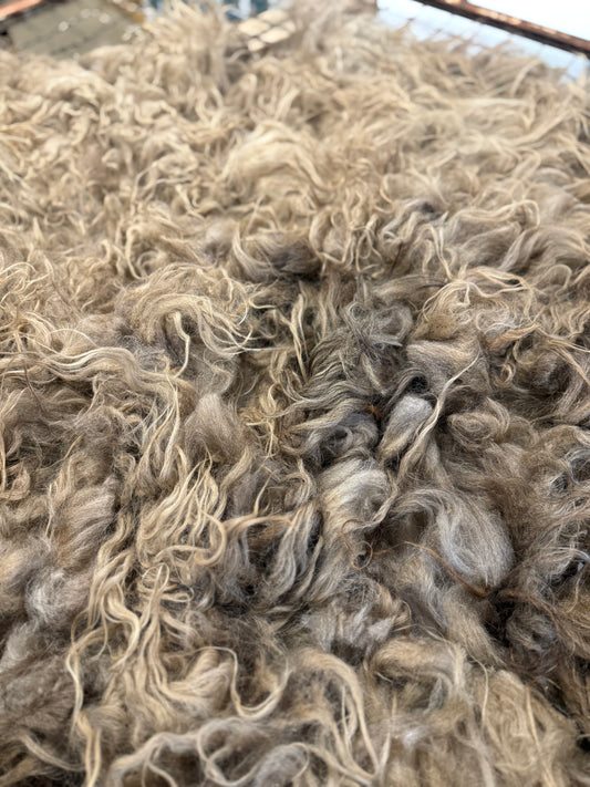 Icelandic Fall 2025 Fleece - “Annie”