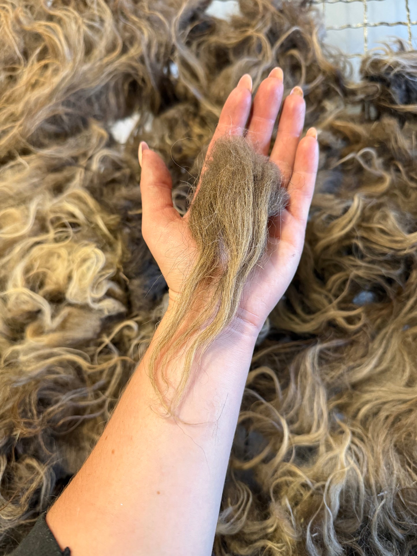 Icelandic Fall 2025 Fleece - “Gwyneth”