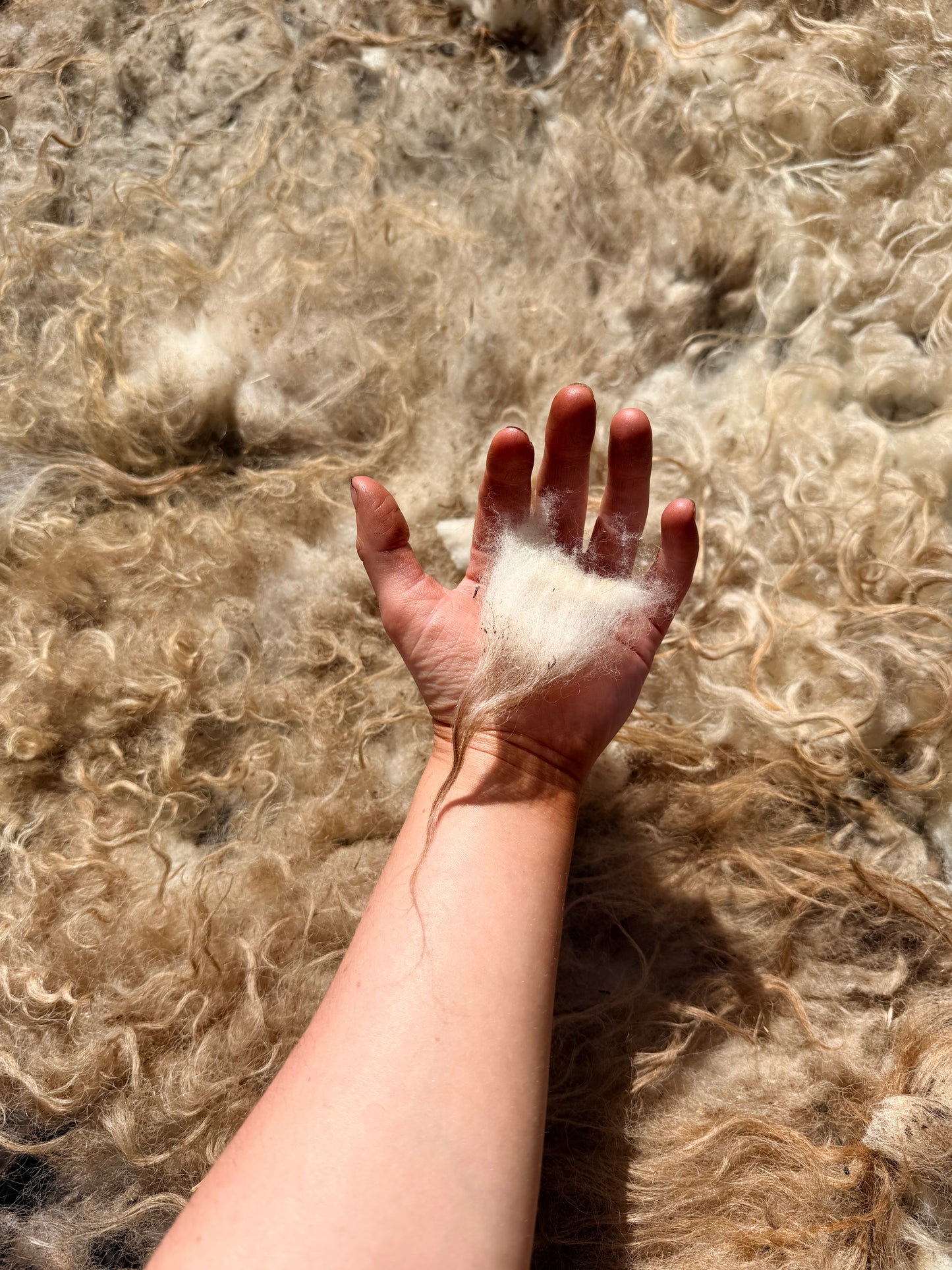 Spring 26’ Icelandic Fleece - “Ida”