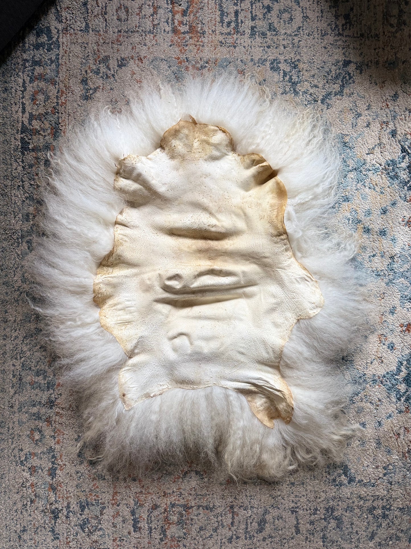 Icelandic Sheepskin - “Peggy”