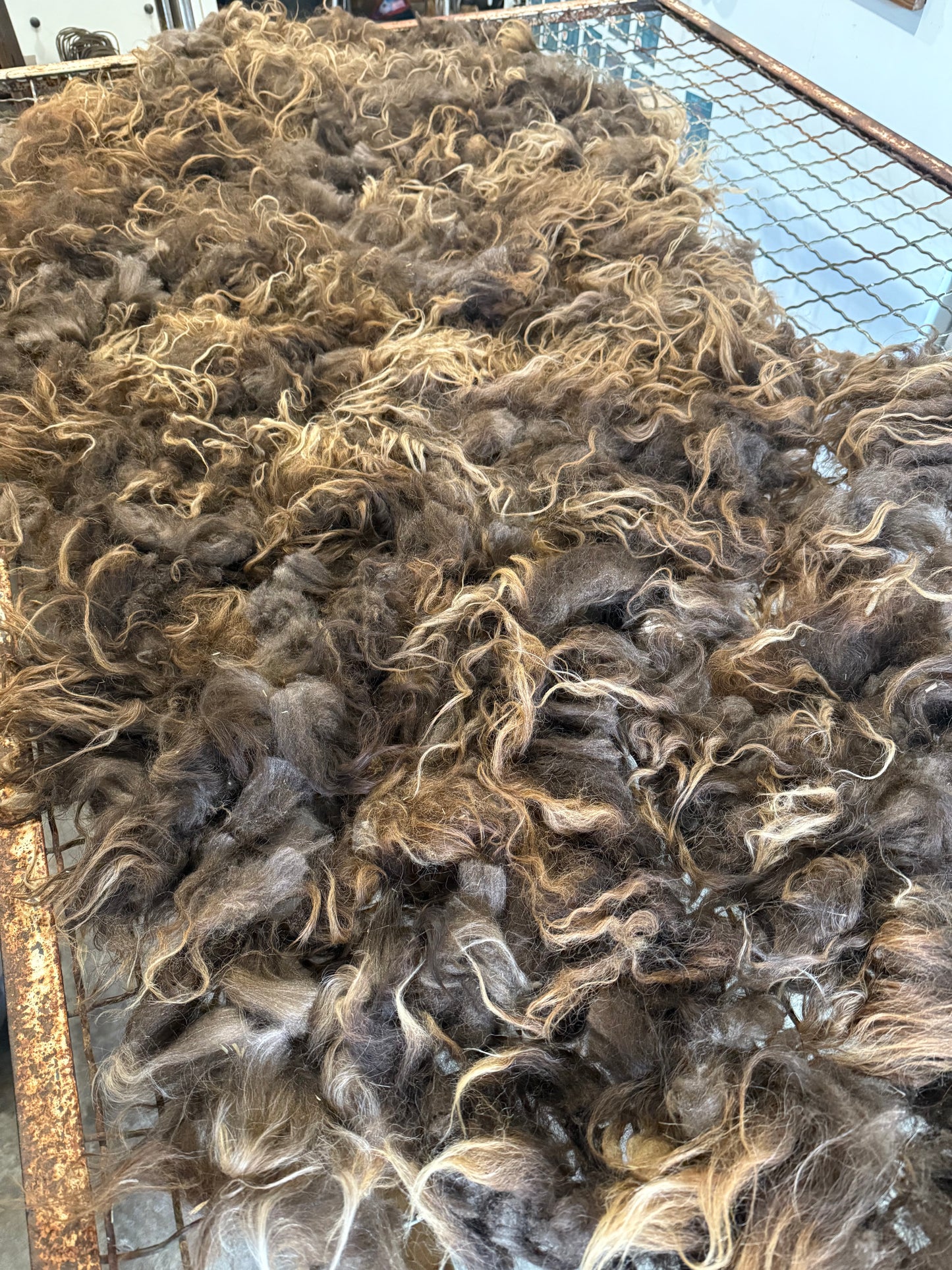 Icelandic Fall 2025 Fleece - “Greta”